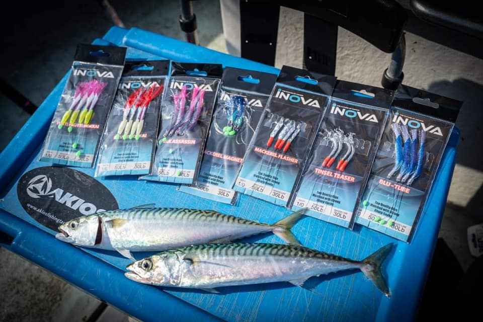 INOVA Bait Flasher Rig – Blu Tube 1/0 Hook | Live Bait Rig NZ