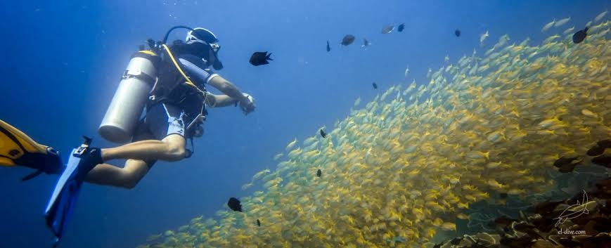 Northern Palawan Dive Adventure May 2027 – 26 Dives Philippines Holiday with NZDiver