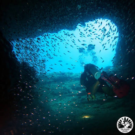 Northern Palawan Dive Adventure May 2027 – 26 Dives Philippines Holiday with NZDiver
