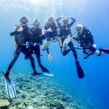 Northern Palawan Dive Adventure May 2027 – 26 Dives Philippines Holiday with NZDiver