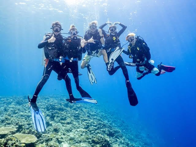 Northern Palawan Dive Adventure May 2027 – 26 Dives Philippines Holiday with NZDiver