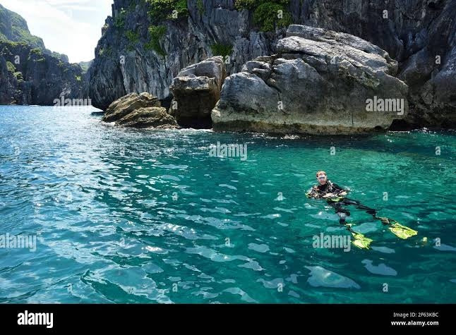 Northern Palawan Dive Adventure May 2027 – 26 Dives Philippines Holiday with NZDiver