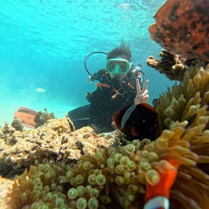 Northern Palawan Dive Adventure May 2027 – 26 Dives Philippines Holiday with NZDiver
