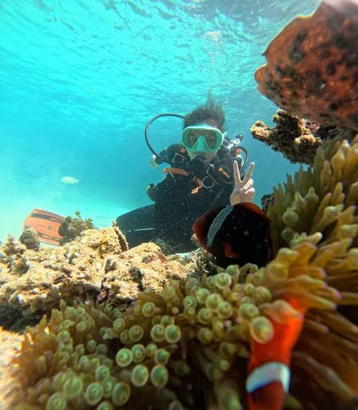 Northern Palawan Dive Adventure May 2027 – 26 Dives Philippines Holiday with NZDiver